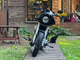 2013 Harley-Davidson Sportster 883, жёлтый, 580000 рублей, вид 2