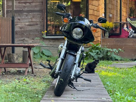 2013 Harley-Davidson Sportster 883, жёлтый, 580000 рублей, вид 2