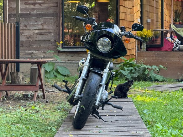 2013 Harley-Davidson Sportster 883, жёлтый, 580000 рублей - вид 1