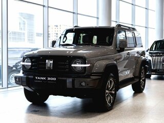 2026 Tank 300 I, серый, 4799000 рублей, вид 2