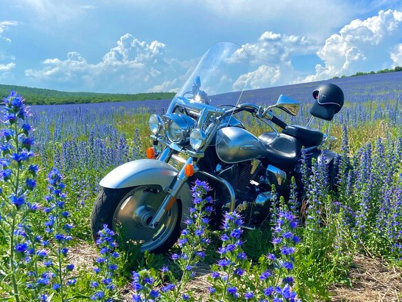 2009 Honda VTX 1300, серебристый, 795000 рублей - вид 11