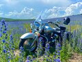 2009 Honda VTX 1300, серебристый, 795000 рублей - вид 11