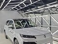 2025 Denza N9 46.9 kWh, серый, 8000000 рублей - вид 3
