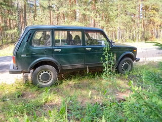 2003 Lada (ВАЗ) 2131 (4x4) I, зелёный, 160000 рублей, вид 3
