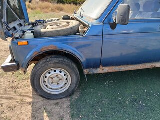 2004 Lada (ВАЗ) 2121 (4x4) I Рестайлинг, серый, 160000 рублей, вид 4