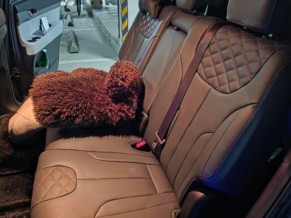2021 Hyundai Palisade I, серый - вид 14