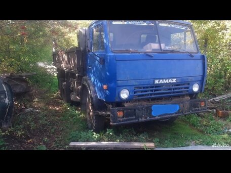 1991 КамАЗ 55102, синий, 400000 рублей, вид 1