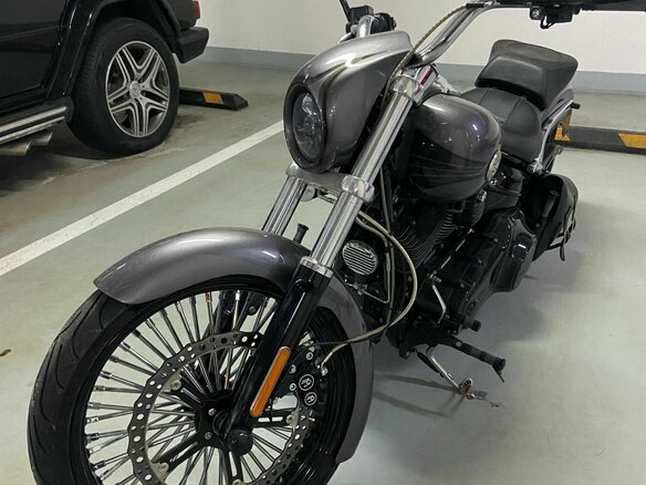 2015 Harley-Davidson Breakout, серый, 3000000 рублей - вид 7