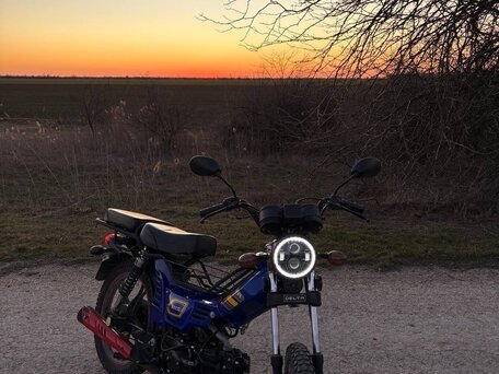 2019 Racer Alpha, синий, 45000 рублей, вид 2