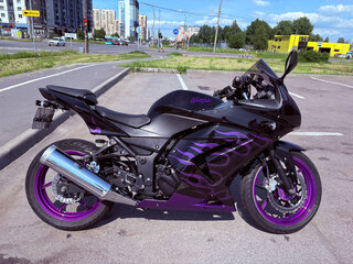 2008 Kawasaki Ninja 250R, фиолетовый, 313313 рублей, вид 4