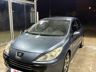 2006 Peugeot 307 I Рестайлинг, серый, 255600 рублей, вид 1