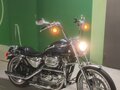 2003 Harley-Davidson XL1200, синий, 850000 рублей - вид 5
