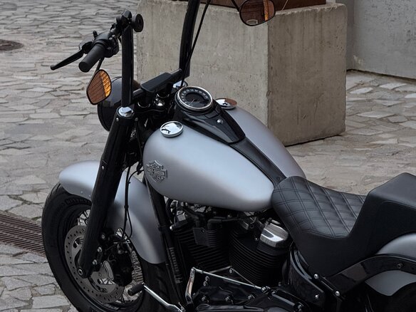 2020 Harley-Davidson Softail Slim, серебристый, 1700000 рублей - вид 8