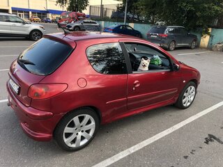2005 Peugeot 206, красный, 220000 рублей, вид 5