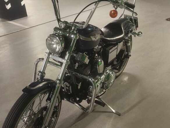 2003 Harley-Davidson XL1200, синий, 850000 рублей - вид 9