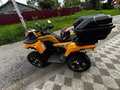 2024 Tao Motor Titan 300, жёлтый, 359000 рублей - вид 4