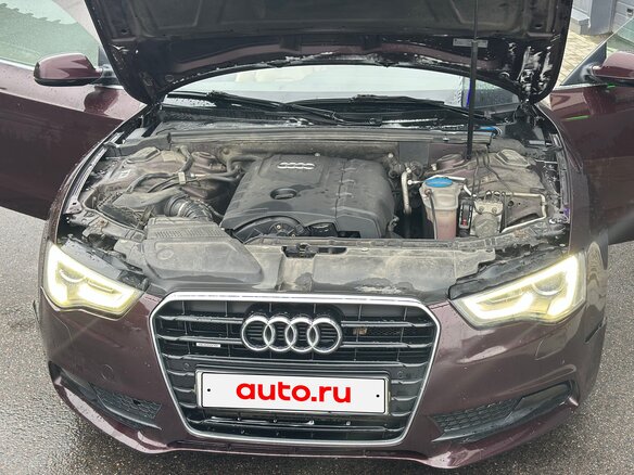 2013 Audi A5 I (8T) Рестайлинг, пурпурный, 1599000 рублей - вид 5