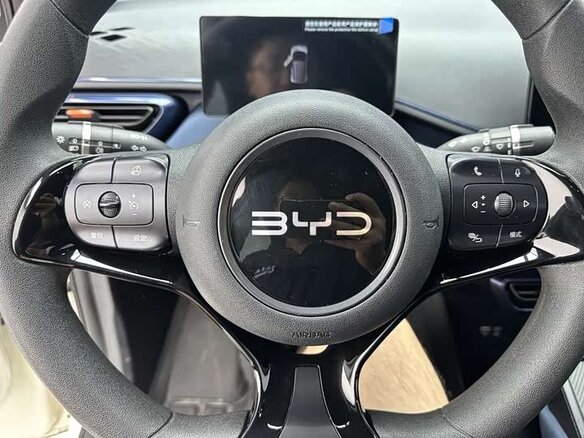 2025 BYD Seagull 30.08 kWh I, белый - вид 13