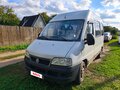 2009 Fiat Professional Ducato, белый, 930000 рублей - вид 5