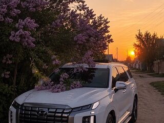 2021 Hyundai Palisade I, белый, 3100000 рублей, вид 4