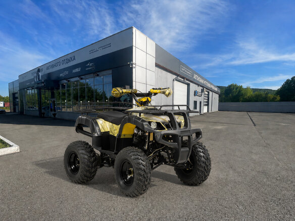 2026 Motoland ATV 250 Adventure, бежевый, 177100 рублей