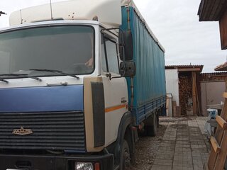 2006 МАЗ 4370, серый, 450000 рублей, вид 3