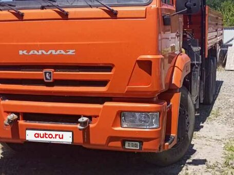 2021 КамАЗ 65115, золотистый, 6850000 рублей, вид 1