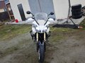 2008 Triumph Tiger 1050, белый, 550000 рублей - вид 11