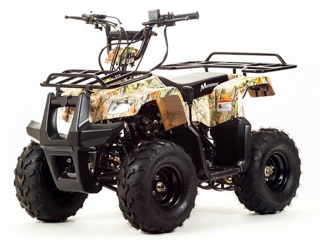 2026 Motoland ATV 110 Rider, серый, 79100 рублей, вид 1