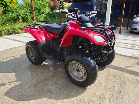 2008 Suzuki Ozark 250, красный, 219000 рублей, вид 3