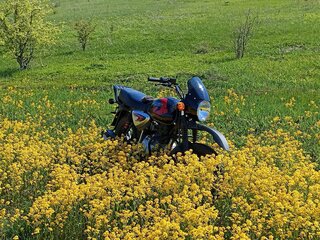 2020 Bajaj Boxer BM 150X, чёрный, 110000 рублей, вид 1