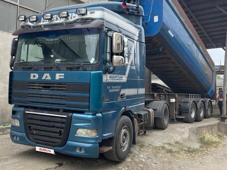 2001 DAF XF 95, синий, 1700000 рублей, вид 5