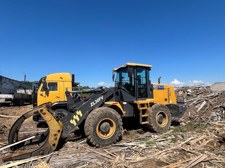 2018 XCMG ZL30FV, 2800000 рублей, вид 2
