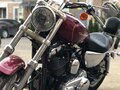 2005 Harley-Davidson Sportster 1200, красный, 620000 рублей - вид 11