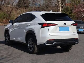 2020 Lexus NX 200 I Рестайлинг, белый, 2757000 рублей, вид 5