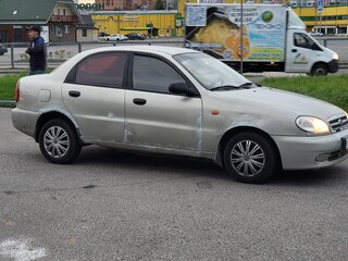 2009 ЗАЗ Chance, серый, 80000 рублей, вид 2