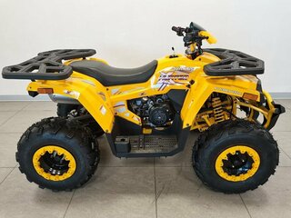 2025 Avantis Hunter 200 Big, жёлтый, 222100 рублей, вид 3