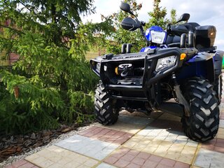 2008 Polaris Sportsman 800, синий, 577000 рублей, вид 2
