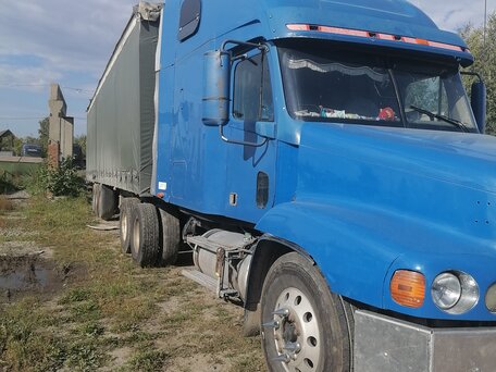 2002 Freightliner Century Class, синий, 1250000 рублей, вид 2