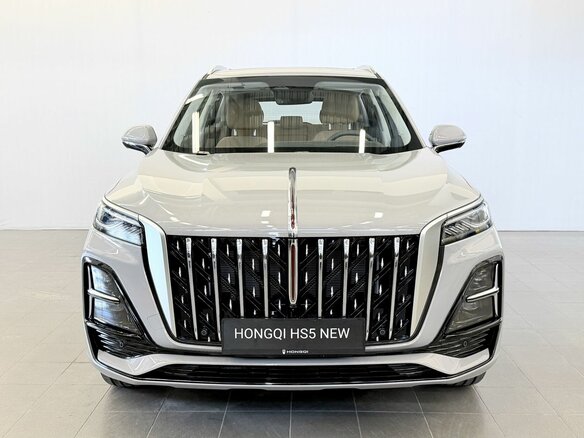 2025 Hongqi HS5 I Рестайлинг, серый - вид 1