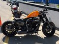 2019 Harley-Davidson Sportster 1200, оранжевый, 1499999 рублей