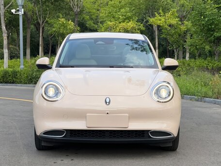 2024 Ora Good Cat 46 kWh I, бежевый, 1665000 рублей, вид 2