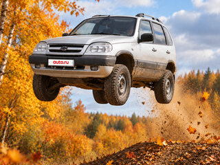 2004 Chevrolet Niva I, серебристый, 230000 рублей, вид 1