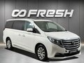 2020 GAC GN8 I, белый, 2550000 рублей