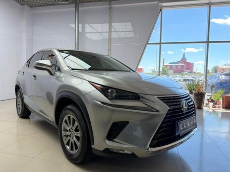 2021 Lexus NX 200 I Рестайлинг, серебристый, 2500000 рублей, вид 2