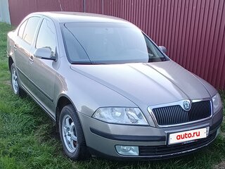2008 Skoda Octavia II (A5), серый, 440000 рублей, вид 5