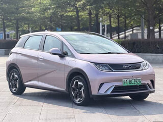 2023 BYD Seagull 30.08 kWh I, розовый, 1530000 рублей, вид 3