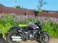 2025 Voge CU525, чёрный, 500000 рублей - вид 6