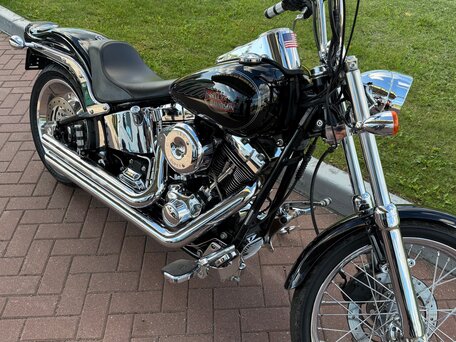 2007 Harley-Davidson Softail Custom, чёрный, 700000 рублей, вид 2