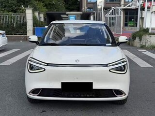 2024 Dongfeng Nammi 01 42.3 kWh, белый, 1999999 рублей, вид 2